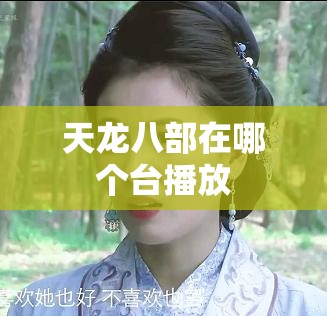 天龙八部在哪个台播放