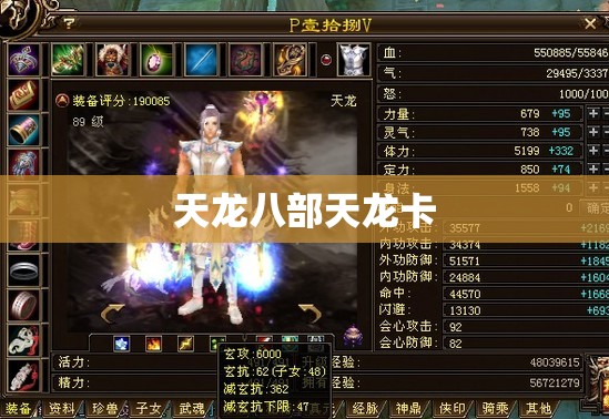 天龙八部天龙卡